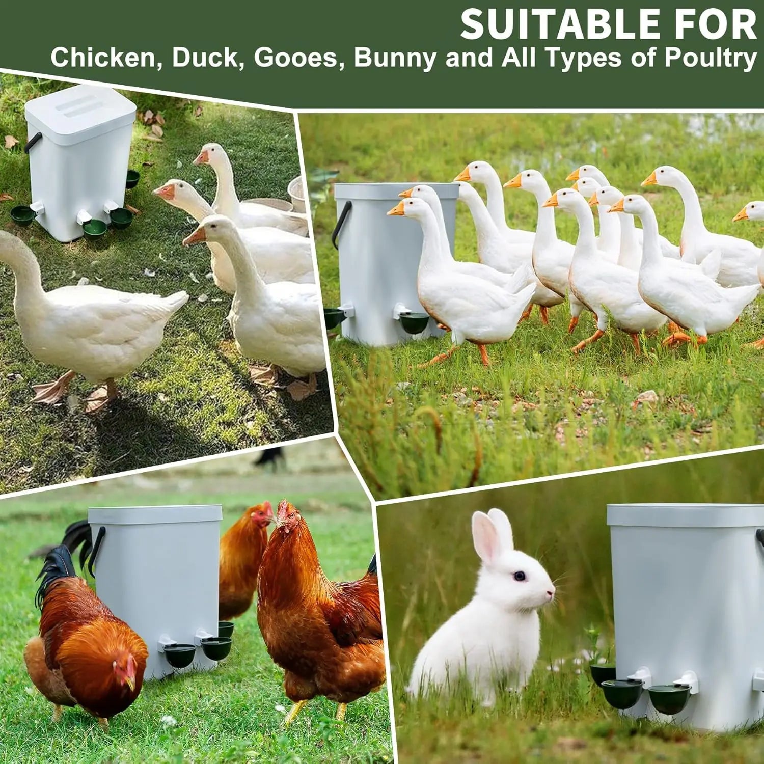 12 Pack Automatic Chicken Water Cups