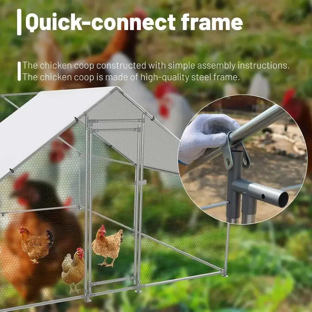 Walk-In Chicken Coop with UV-Protection