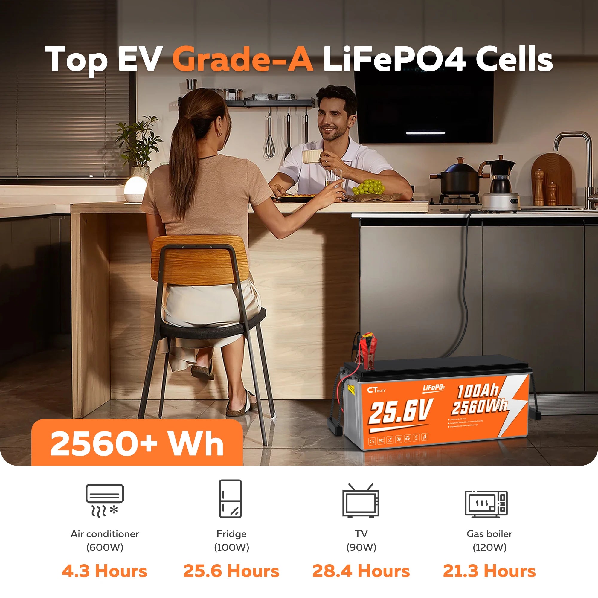 CTOLITY 25.6V 100AH LiFePo4 Battery Pack 2560Wh